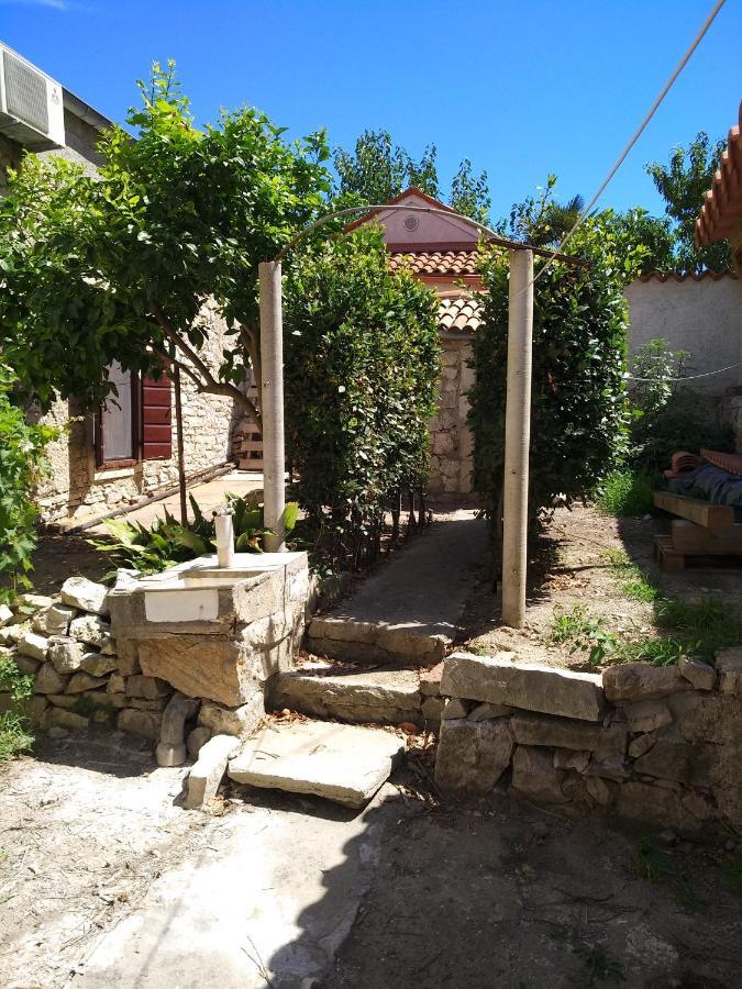 Vila Flora Сусак Экстерьер фото